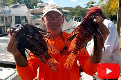 Battling The Lionfish Threat With Pure Diving Aruba Lionfish Divers