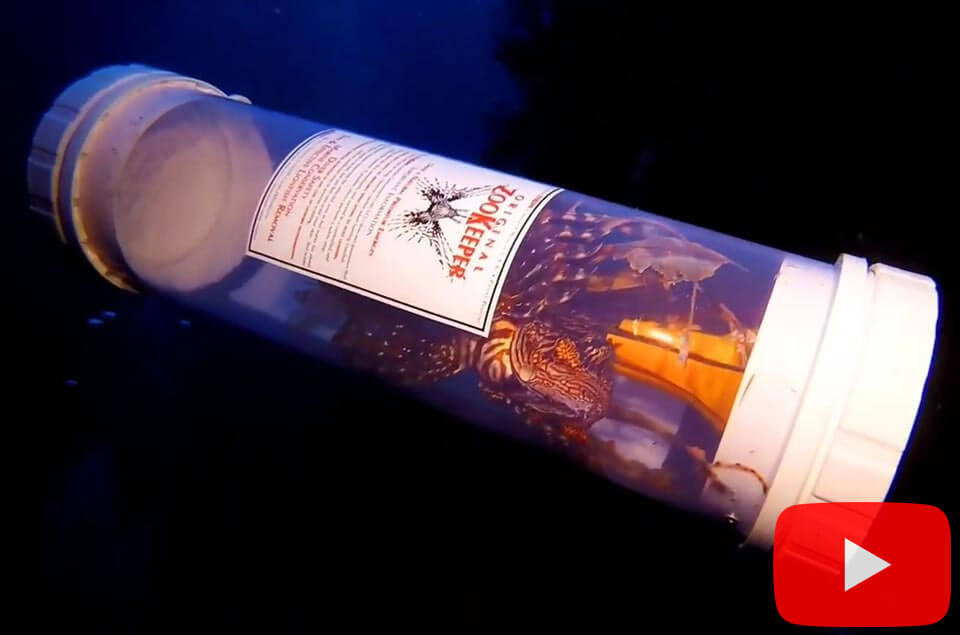 Lionfish ZooKeeper
