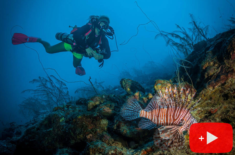 Lionfish hunting in Jamaica
