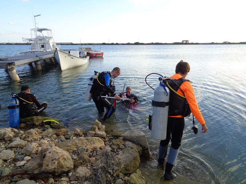 Shore diving for lionfish in Aruba