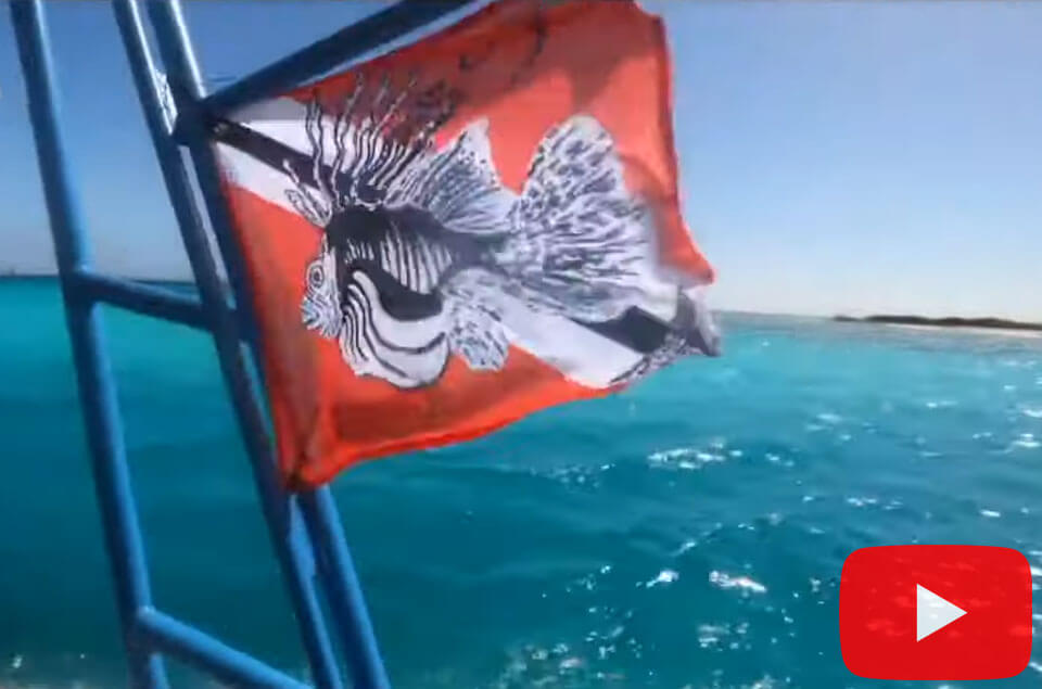 Lionfish University flag on boat