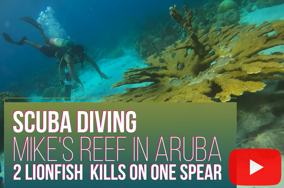 Scuba diving Mike's Reef in Aruba