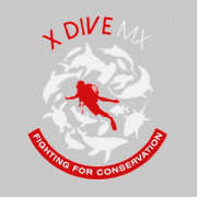 X Dive MX