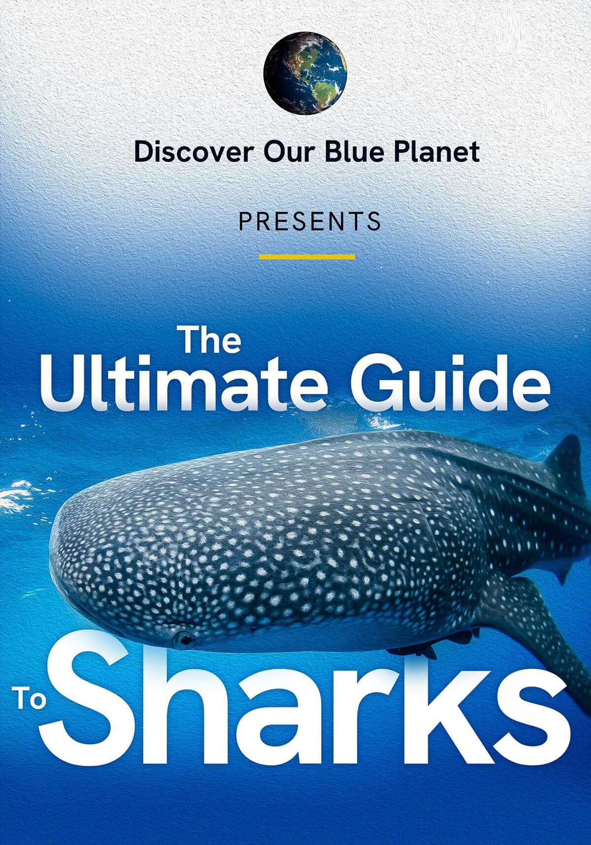 Ultimate Guide to Sharks