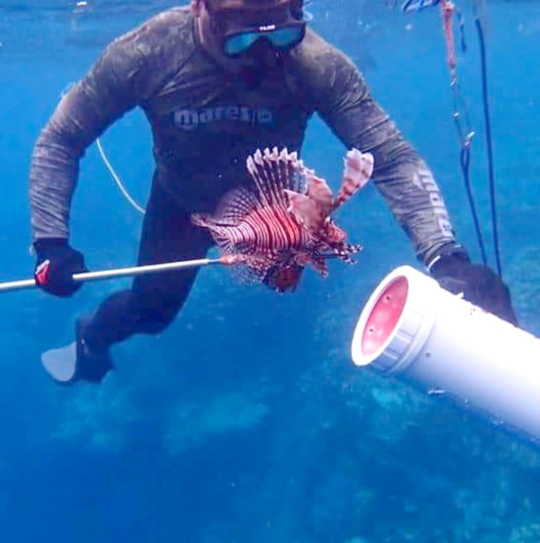Alfredo Marin Lionfish Divers