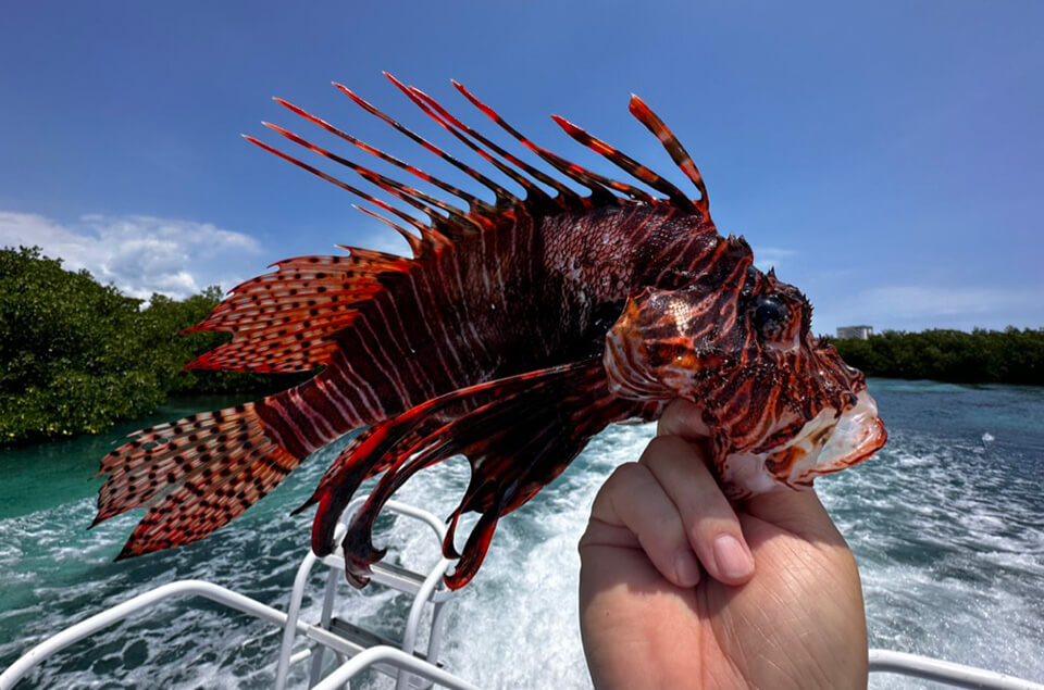 Lionfish held up while on boat ride