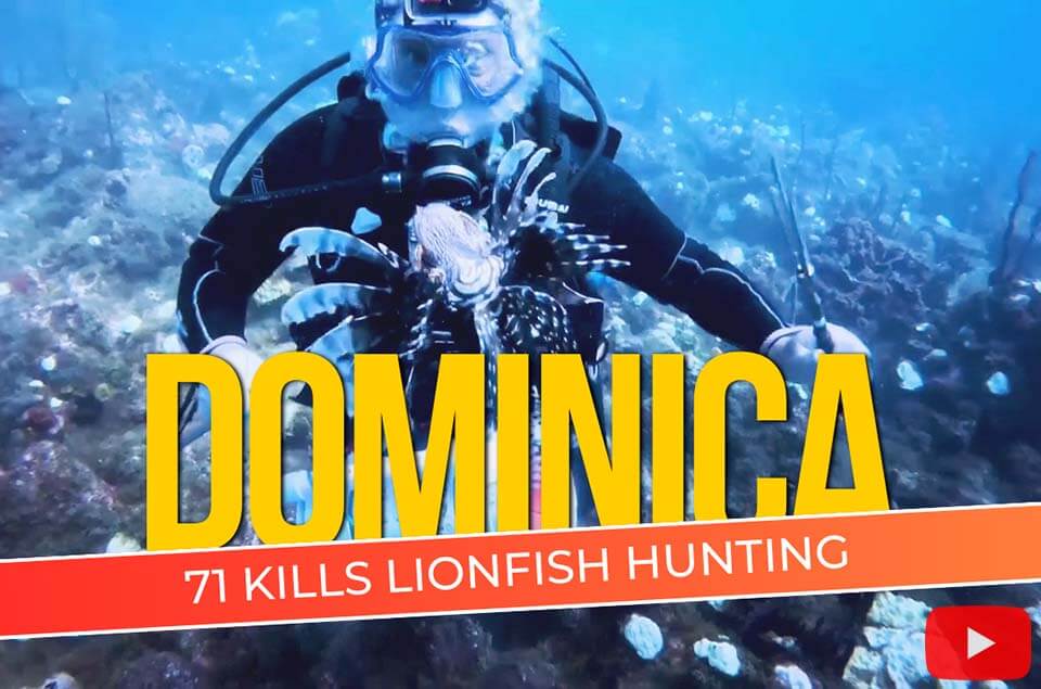 Lionfish Hunting in Dominica