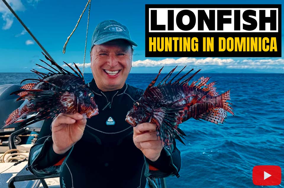 Lionfish Hunting Mexico Lionfish Divers