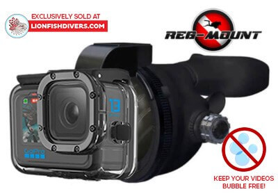 Reg-Mount. Hands free Camera Light and Mount