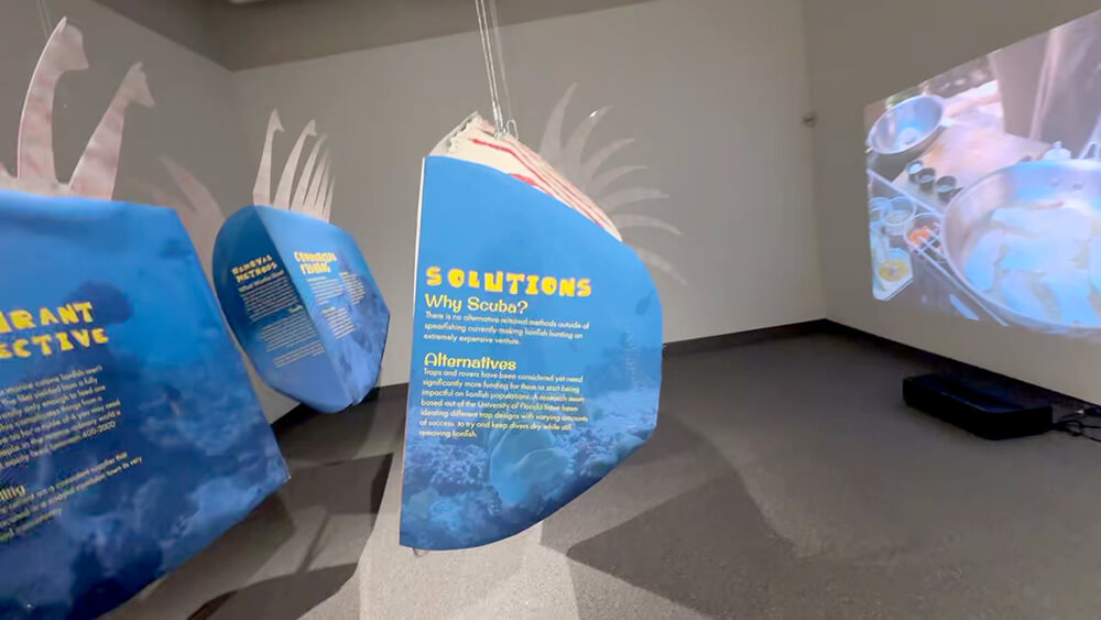 Cal Kennedy lionfish art exhibit close up