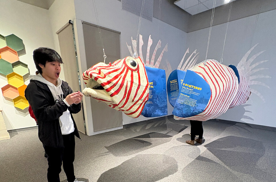 Cal Kennedy lionfish art exhibit