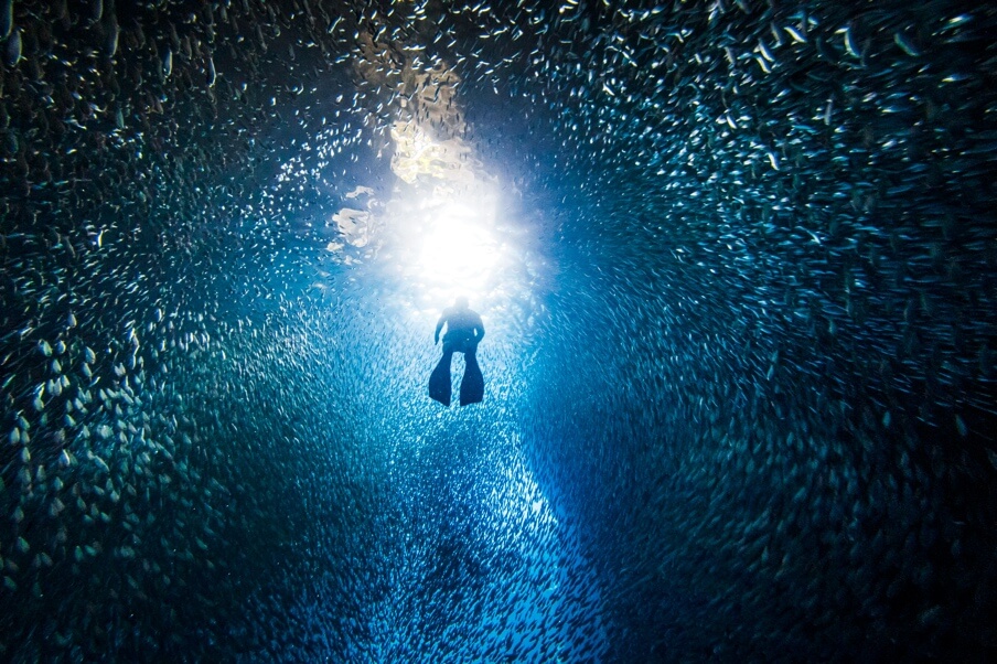 Diver descending toward deep reef structure on a boat dive.