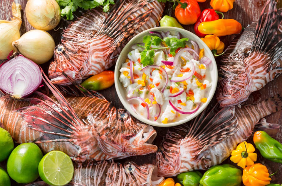 Beautifully plated lionfish dish