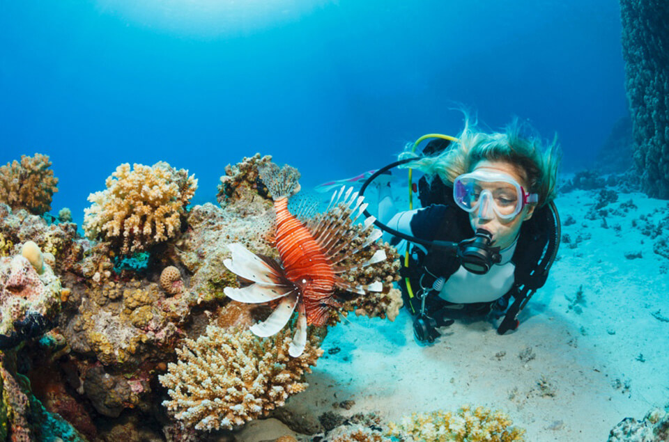Taylor Muller in Jamaica observing a lionfish 