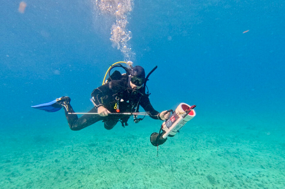 Diver with proper safety equipment for hunting lionfish
