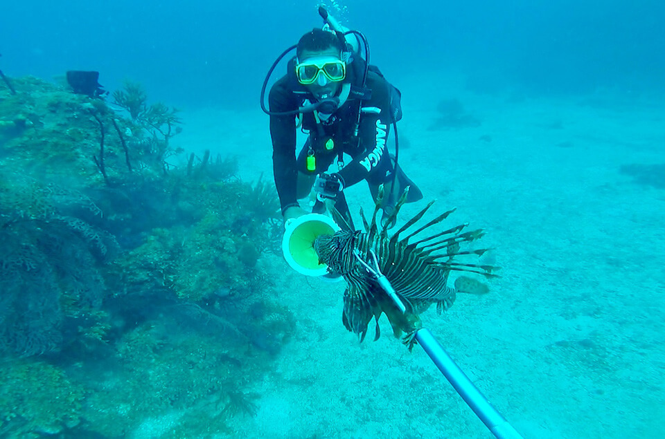 Lionfish Hunter placing lionfish into zookeeper containment unit