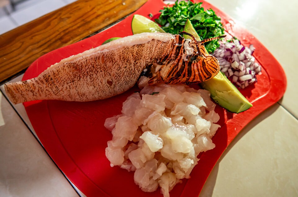 Lionfish ceviche on a plate with a whole lionfish