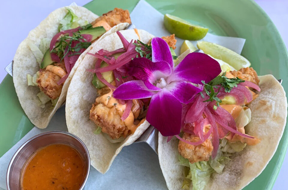 Three lionfish tacos on a plate with a hibiscus flower on the top for decoration