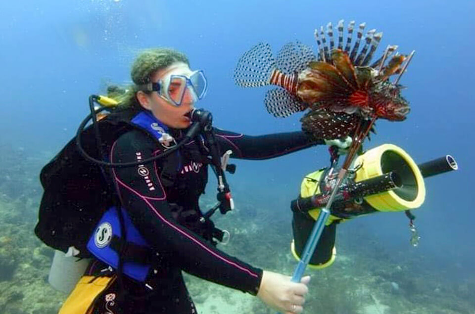 Female diver hunting lionfish with pole spear and containment device